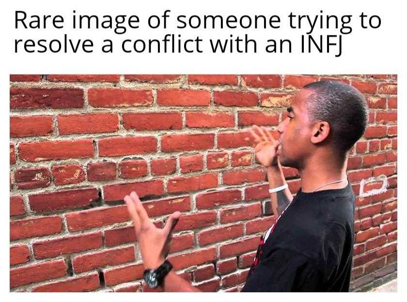 arafinge of someone trying to resolve conflict with an infj