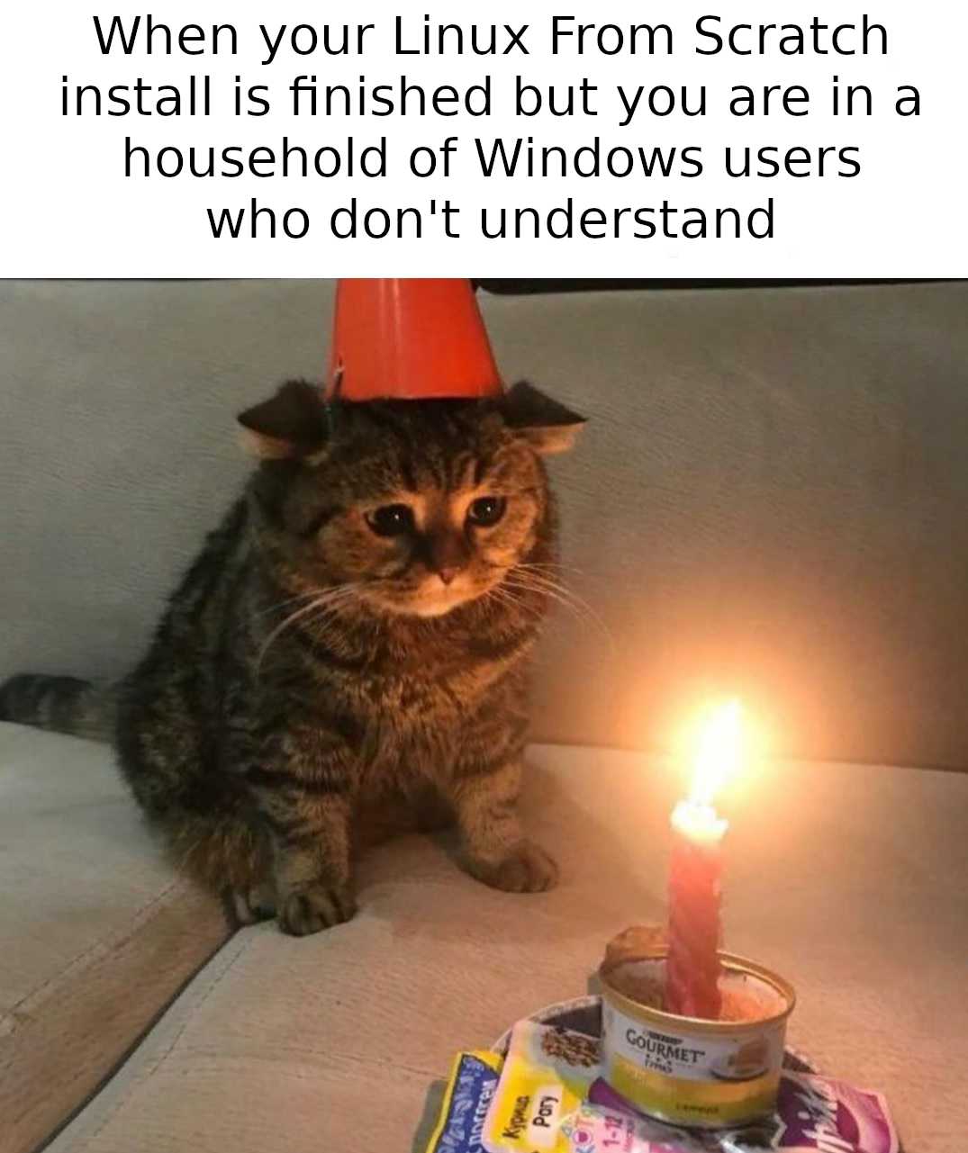 cat sitting on a couch with a birthday hat on