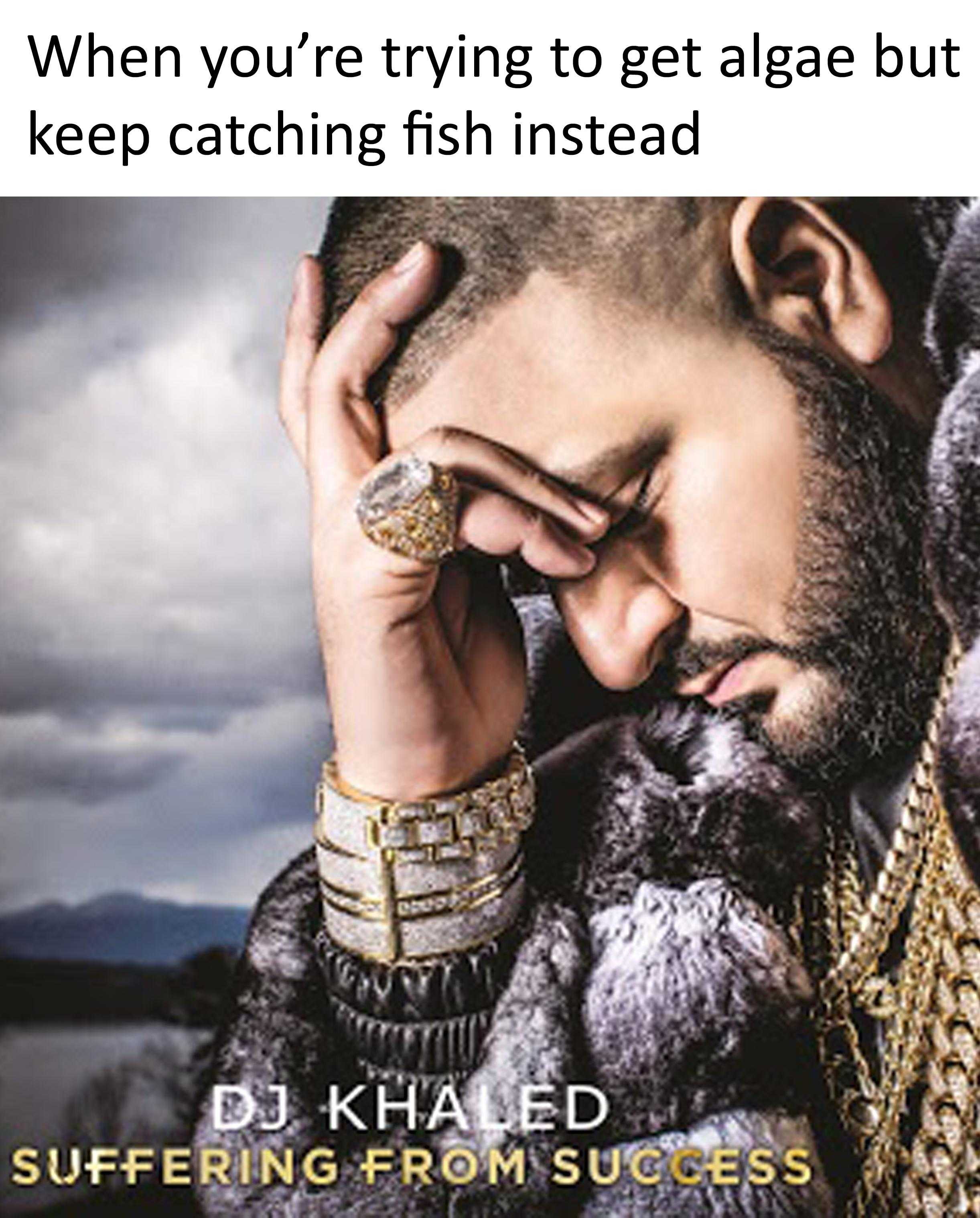 , memes, and when you ' re trying to get algae but keep catching fish instead suffering from success