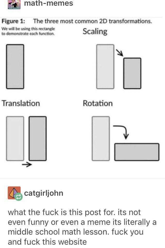 a screenshot of a diagram of a person ' s reaction to a math problem