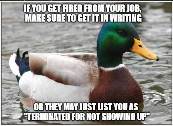 duck in the water with caption saying if you get fired from your job, make sure to get in writing