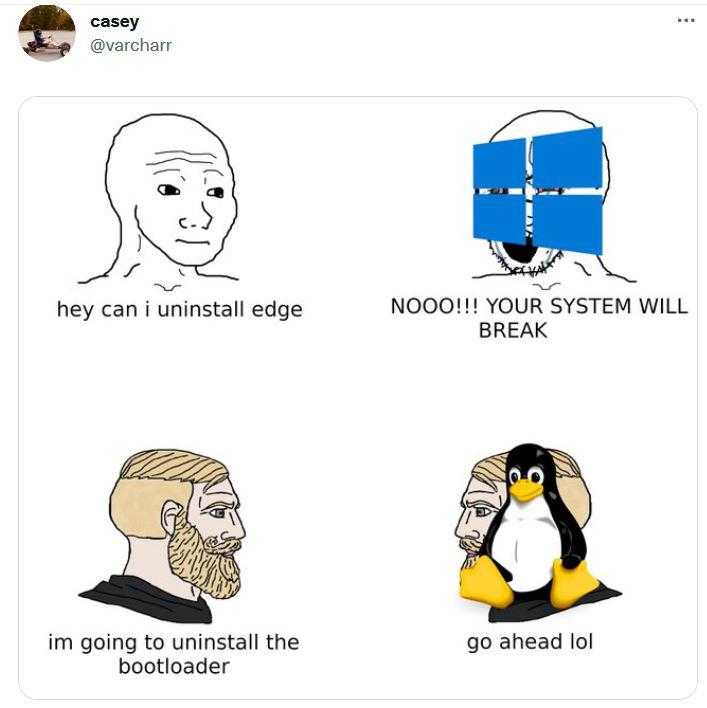 a cartoon of a man with a beard and a penguin with a computer