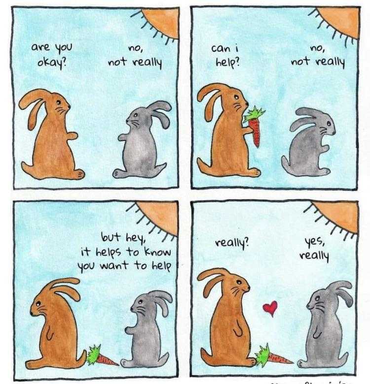 a cartoon of a rabbit and a rabbit eating carrots