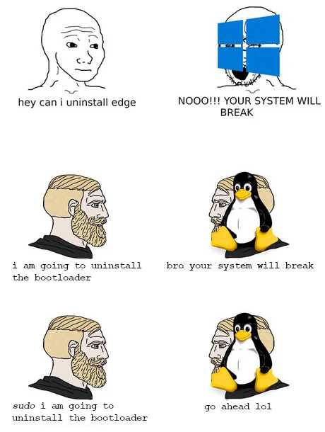 a cartoon of a man with a beard and a penguin with a computer