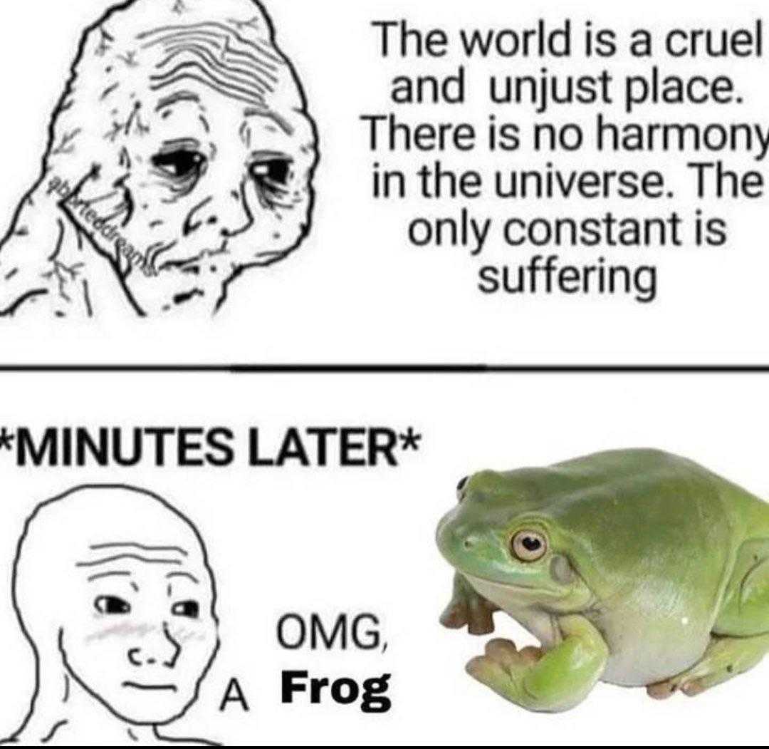 a cartoon picture of a frog and a frog with a caption of the world is cruel