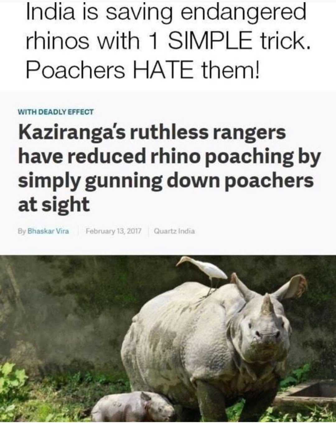 a screenshot of a rhino with a caption of a caption of a rhino