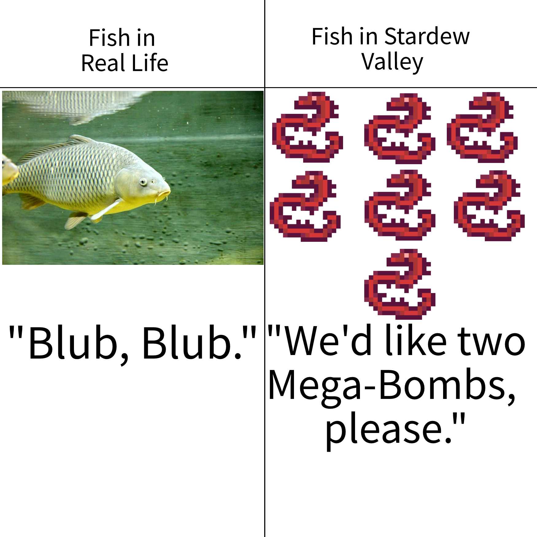 there are two pictures of fish in the same picture