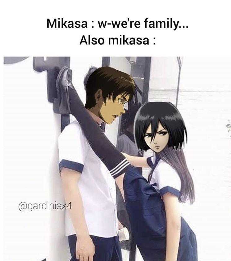 anime, mikasa, and we ' re family also mikasa