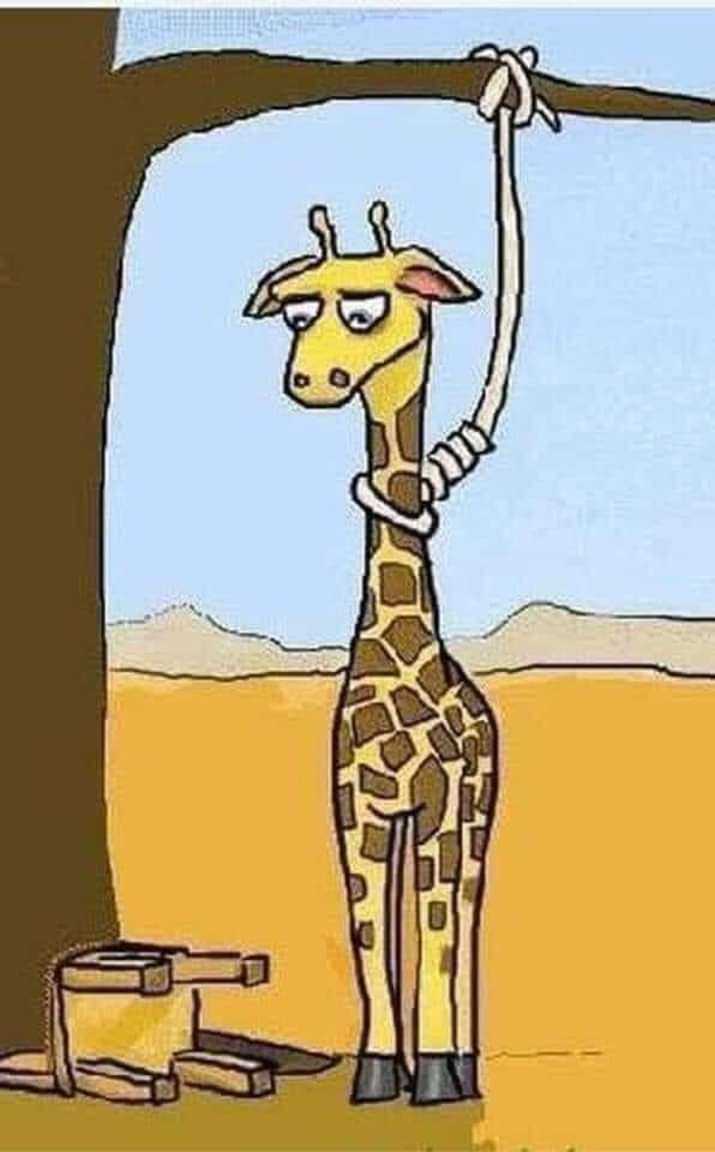 cartoon of a giraffe hanging from a tree with a rope