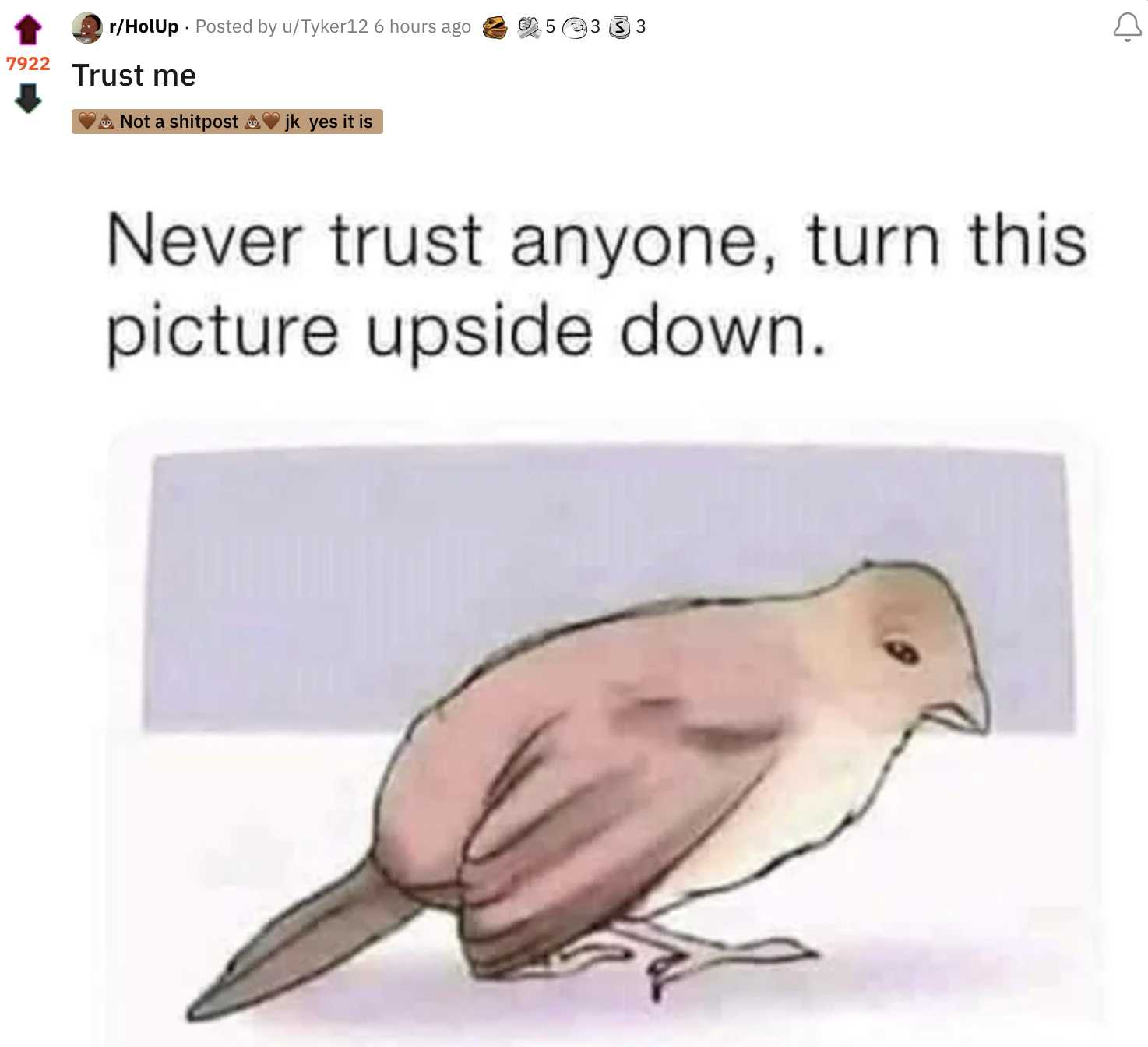 bird sitting on a table with a caption of a picture