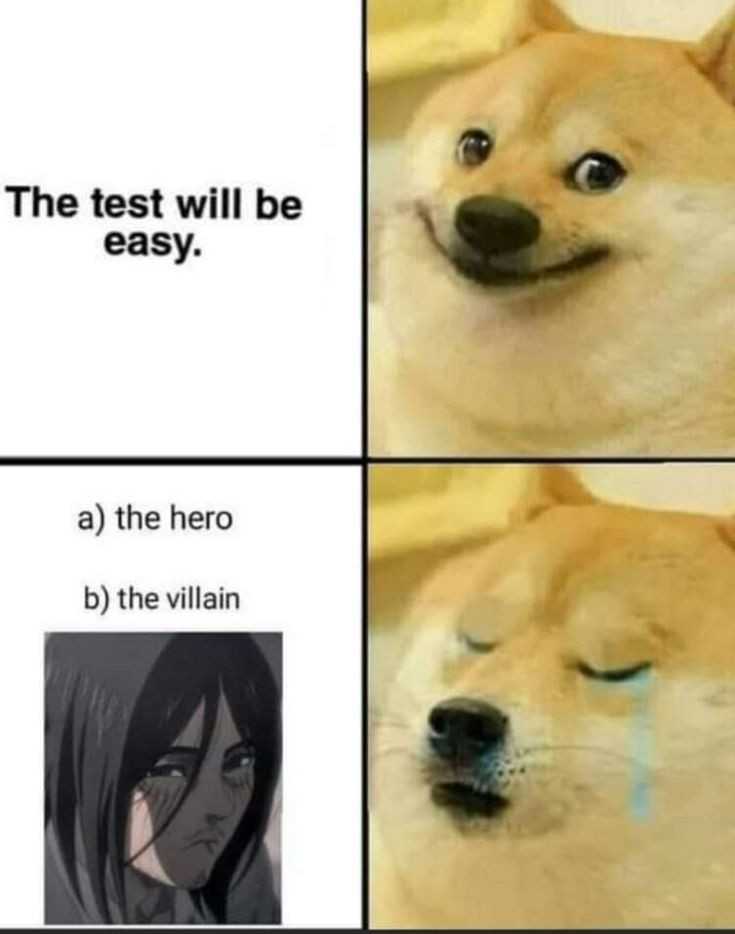 a picture taken from a meme of a doge with the caption of the doge saying the test will be easy