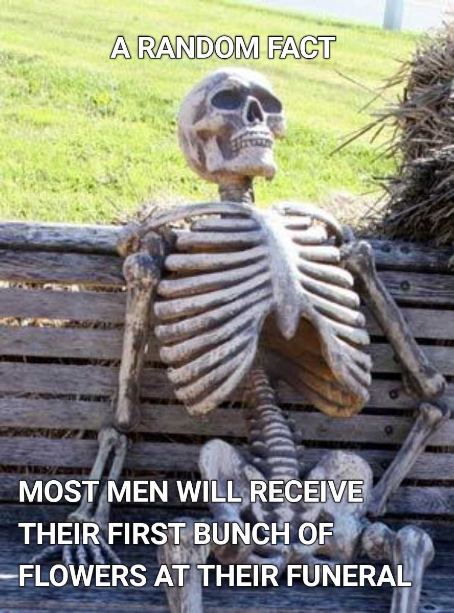 a skeleton sitting on a bench with a caption of a random fact