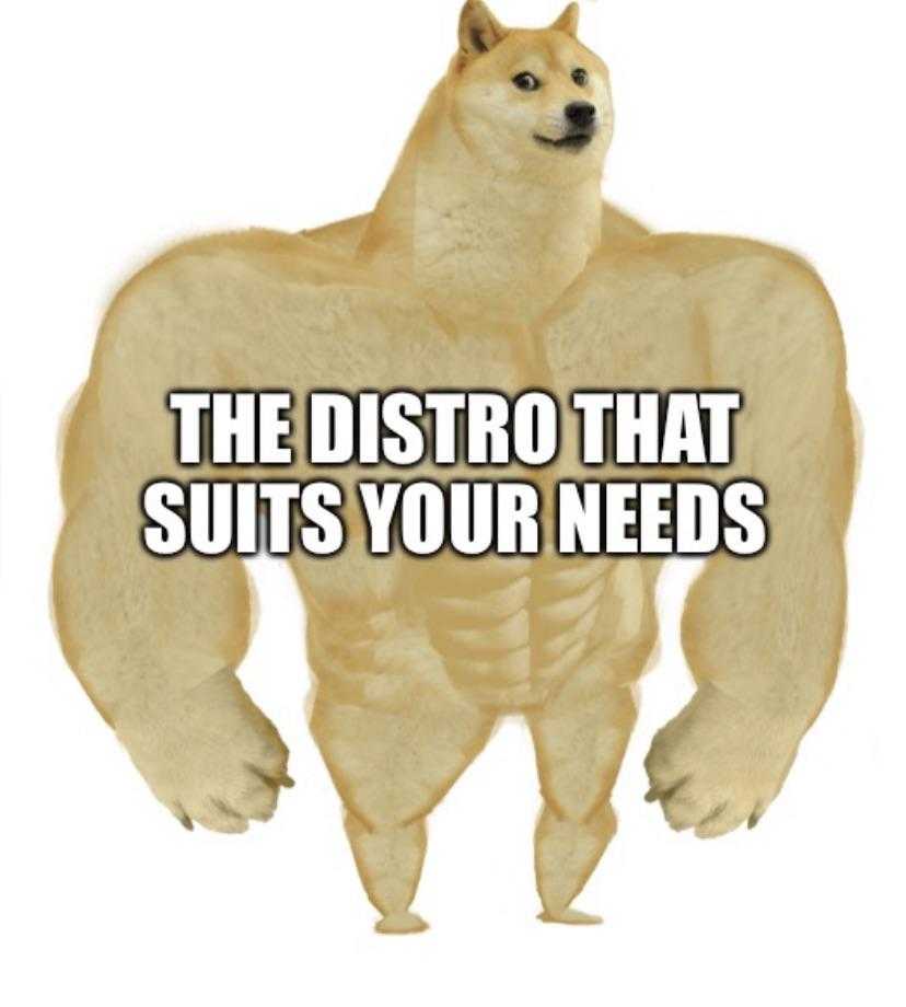 a close up of a doge standing with its hands on his hips