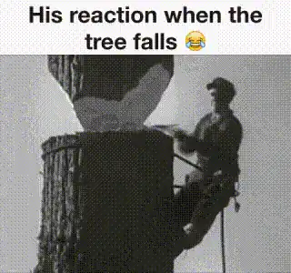 man on a tree with a sticker saying his reaction when the tree falls