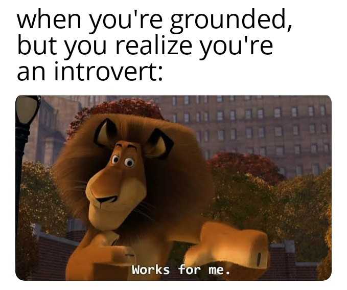 a cartoon lion with a caption saying when you ' re grounded but you realize you ' re an intro