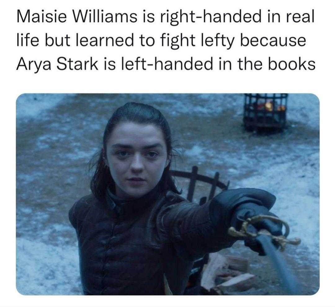 meme of a woman holding a knife and a book