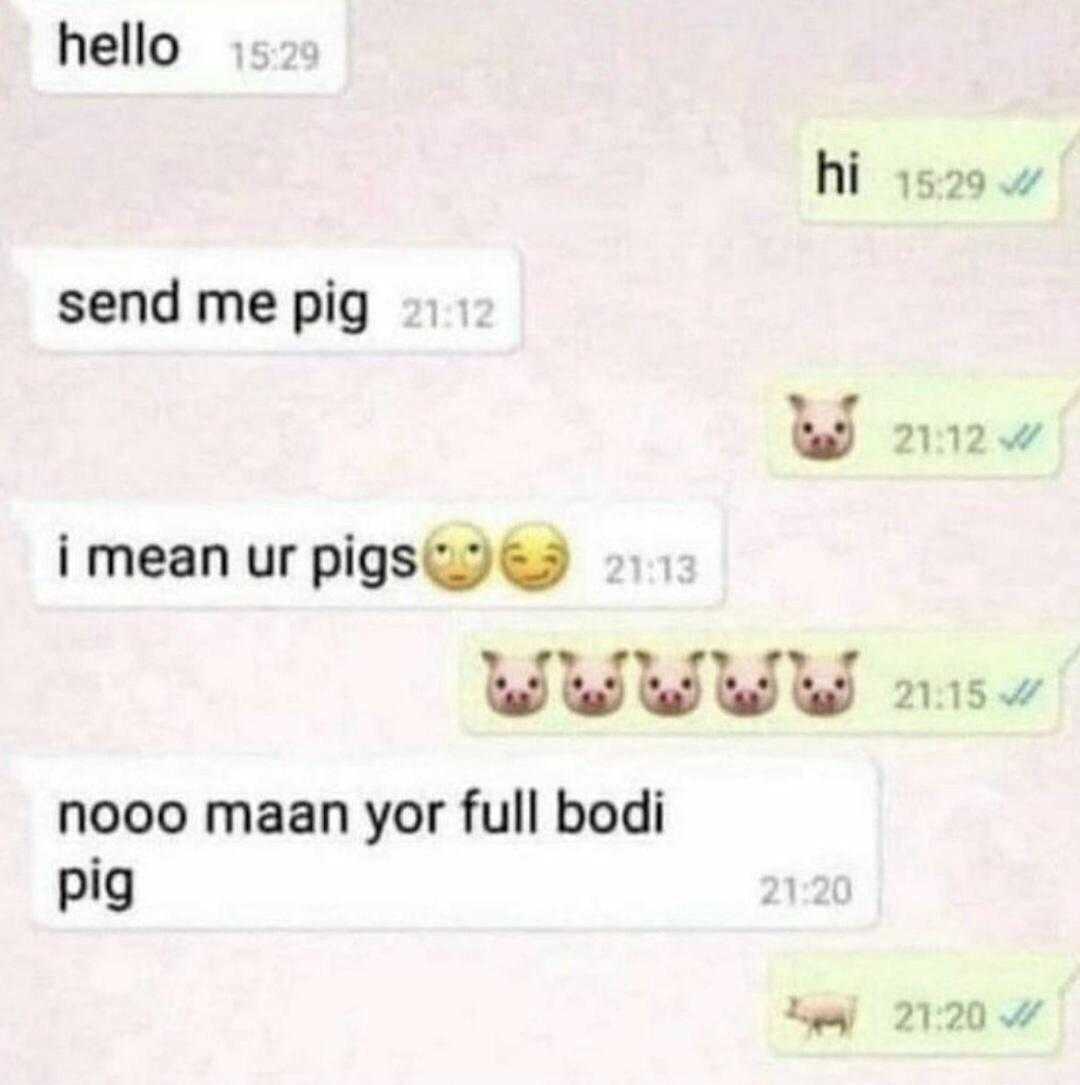 a close up of a text message with a pig on it