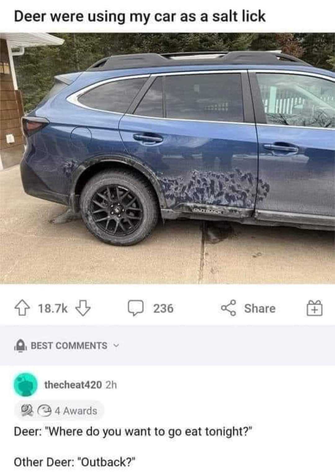 a close up of a car with a dirty paint job on it