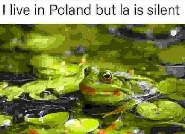 frog sitting in a pond with lily pads and a caption that reads live in pond but it is silent