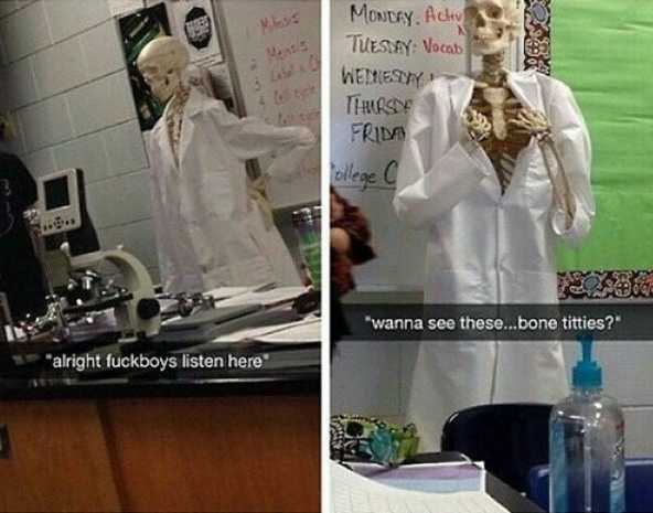 skeleton in lab coat with a bottle of water in front of him