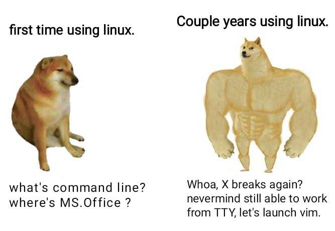 two dogs are standing next to each other with the words ' first time using linux '