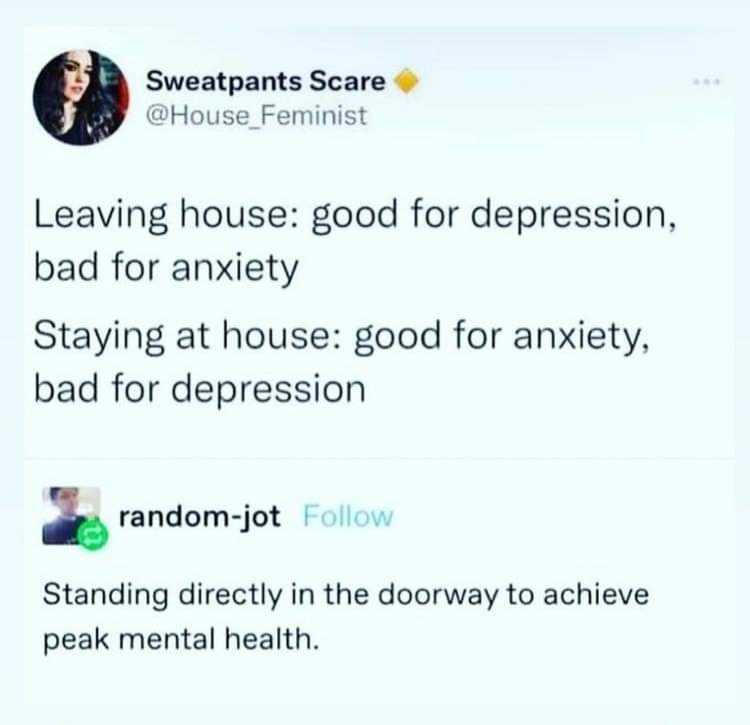 a screenshot of a twee with a woman saying, ' leaving house good for depression, bad for anxiety '