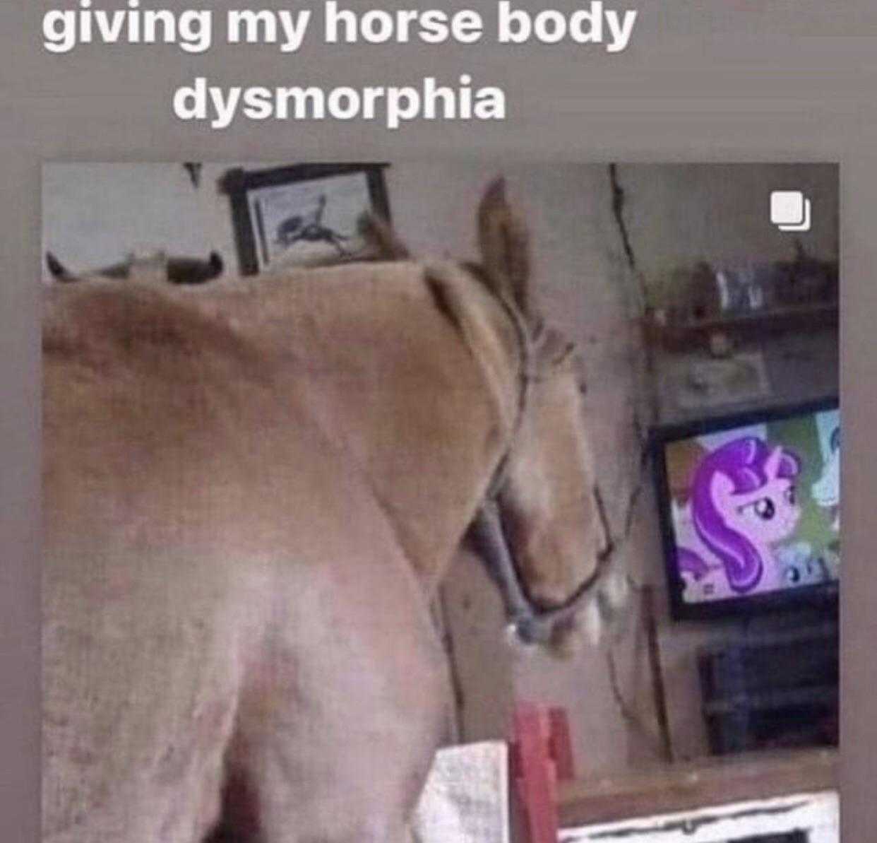 there is a horse that is standing in front of a tv