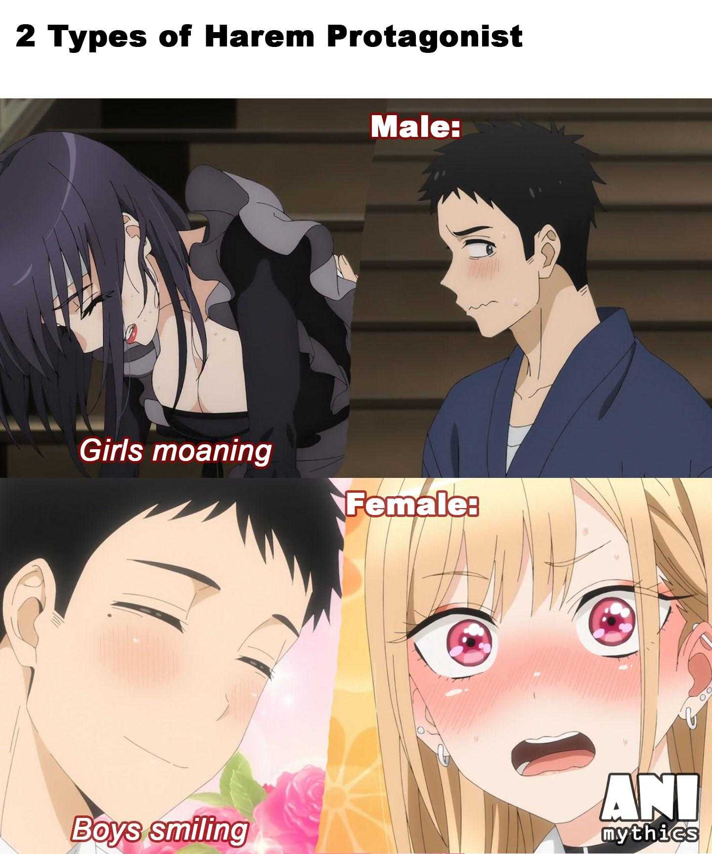 two types of harm protagnist male girls manning female boys smiling