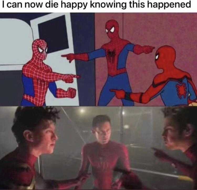 a cartoon picture of a spider man and a spider - man with a caption saying, i can ' t