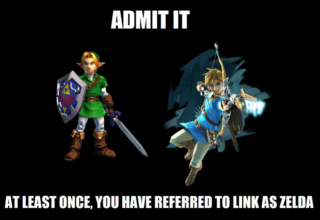 two cartoon characters of link and zeo, one with a sword and the other with a sword