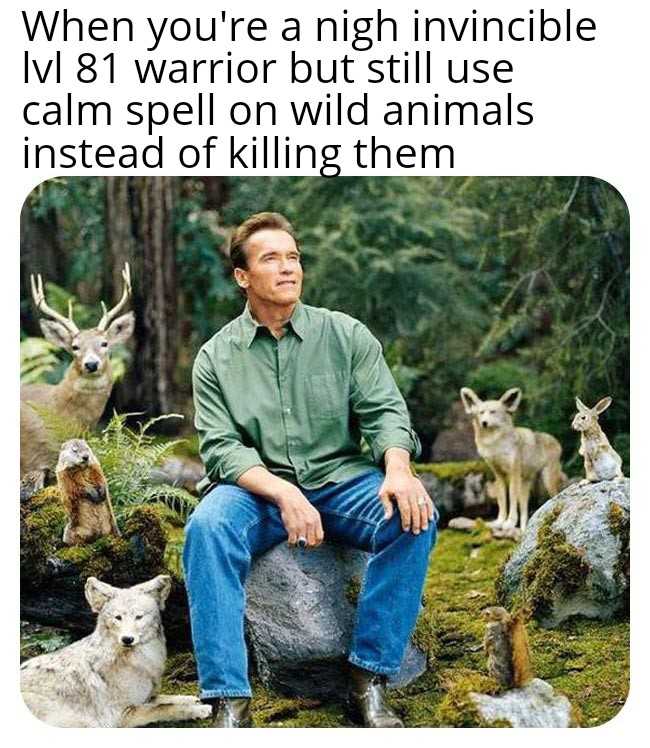 man sitting on a rock with a bunch of animals in the background