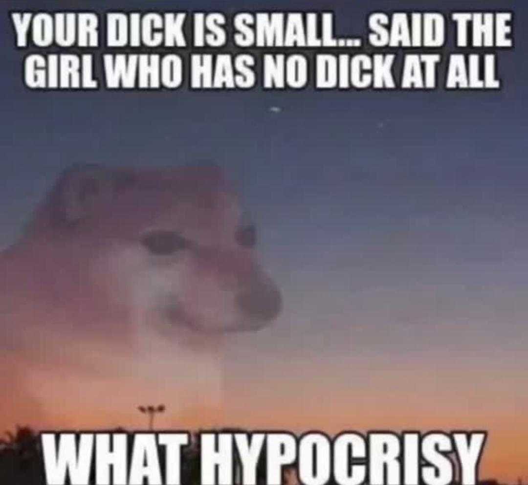 araffy dog with a caption saying, your duck is small, said the girl who has no dick at all