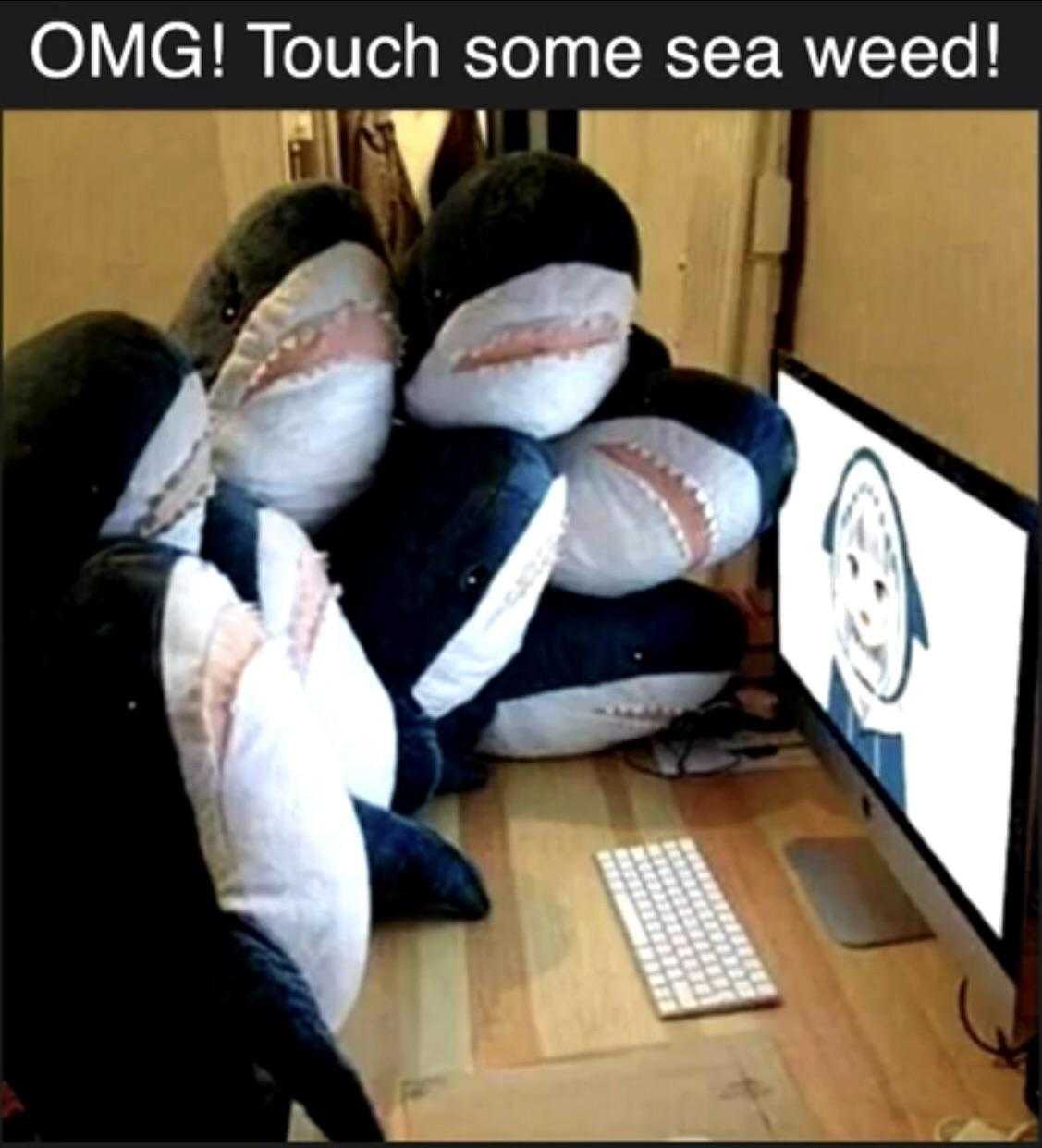 there are two stuffed sharks sitting on a couch with a computer