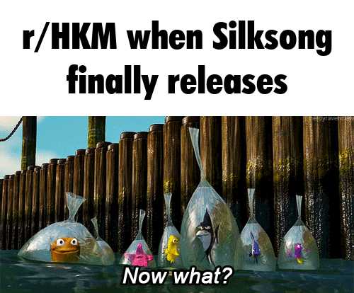 there are five plastic fish in the water with a caption that reads, i know when silksong finally releases now what?