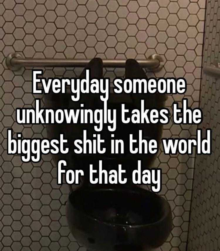 a picture of a toilet with the words everyday someone unknownly takes the biggest shit in the world for that day