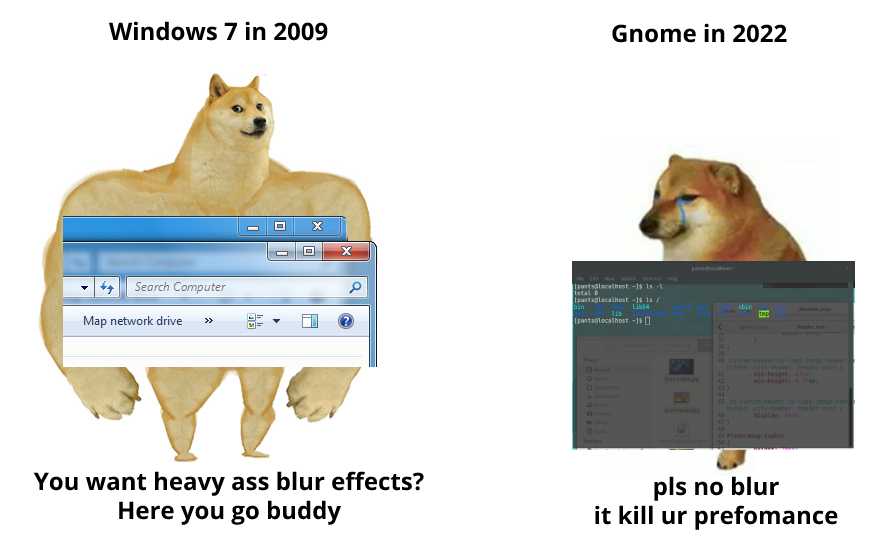 there are two pictures of a dog and a cat with a computer screen