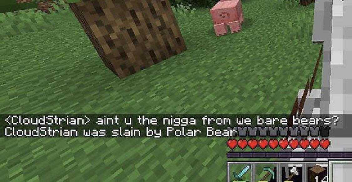 minecraft is a game that lets you to play with friends