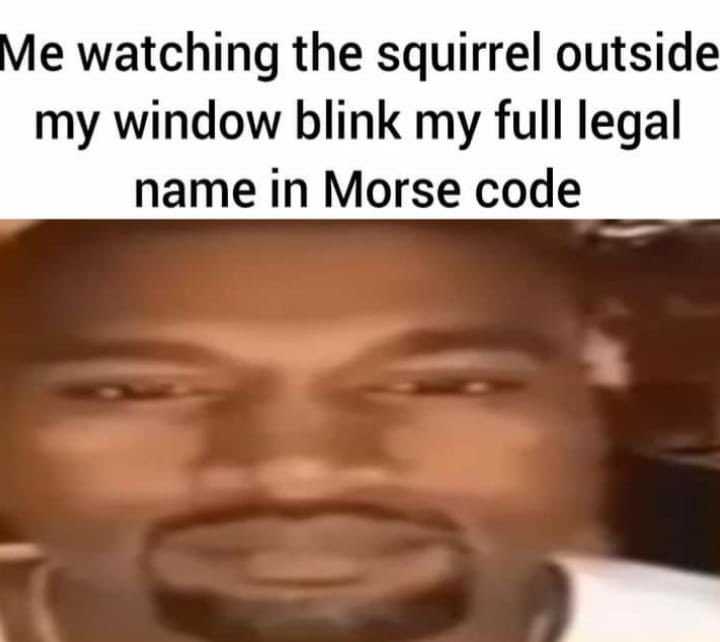 a close up of a person with a beard and a caption that reads me watching the squirrel outside my window blink my full legal name in morse code