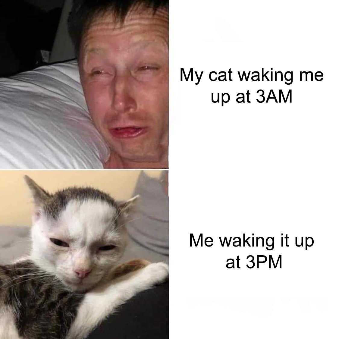 there are two pictures of a man sleeping with a cat