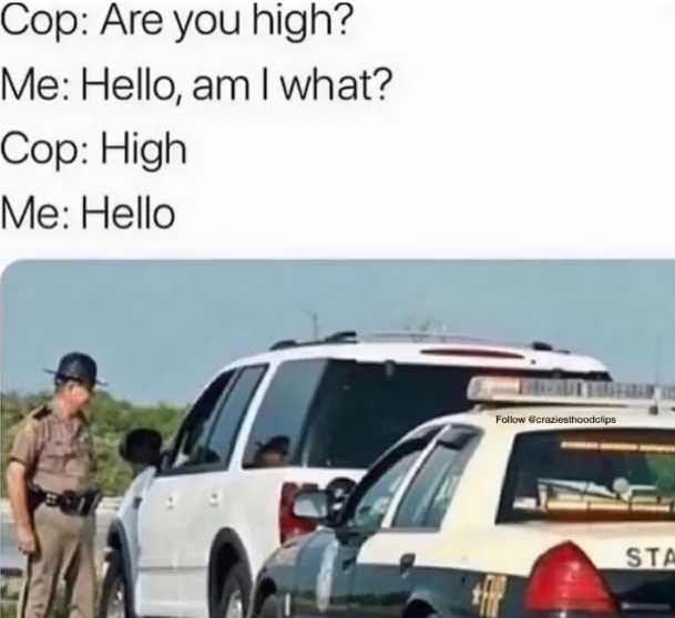 cop are you high? me hello, am i what cop high me hello