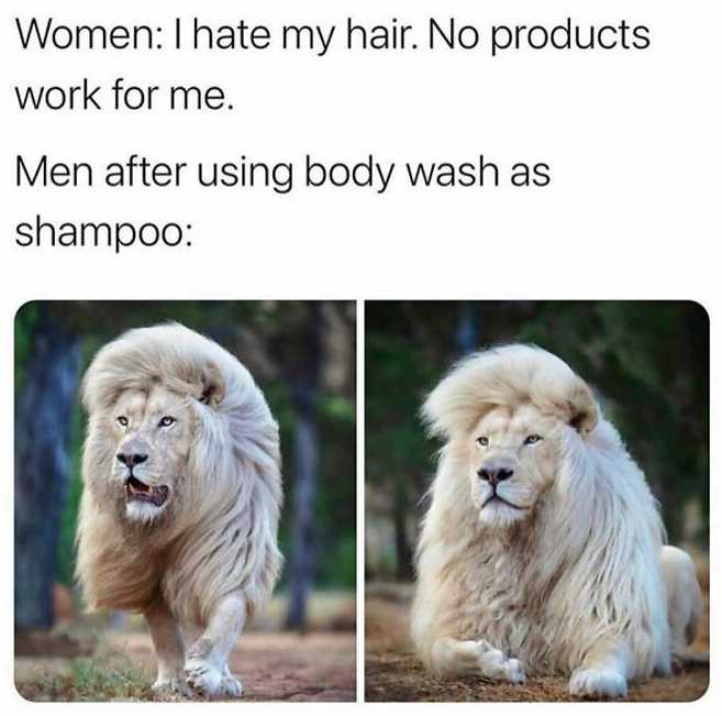 two pictures of a lion with a haircut and a beard