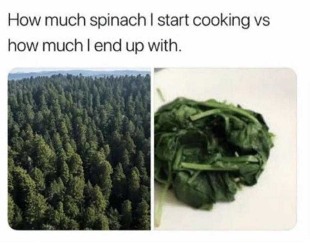 a picture taken from a plane shows a spinach and a pine tree