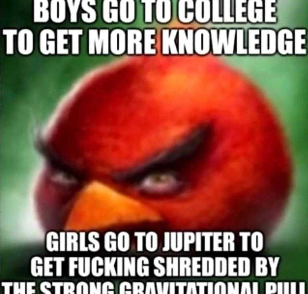 angry bird meme - boys go to college to get more knowledge girls go to jupiter to get fucking shredded by the strong gravitational pill