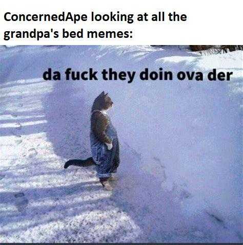 araffe looking at the grandpa ' s bed memes dad fuck they don ' t ovver