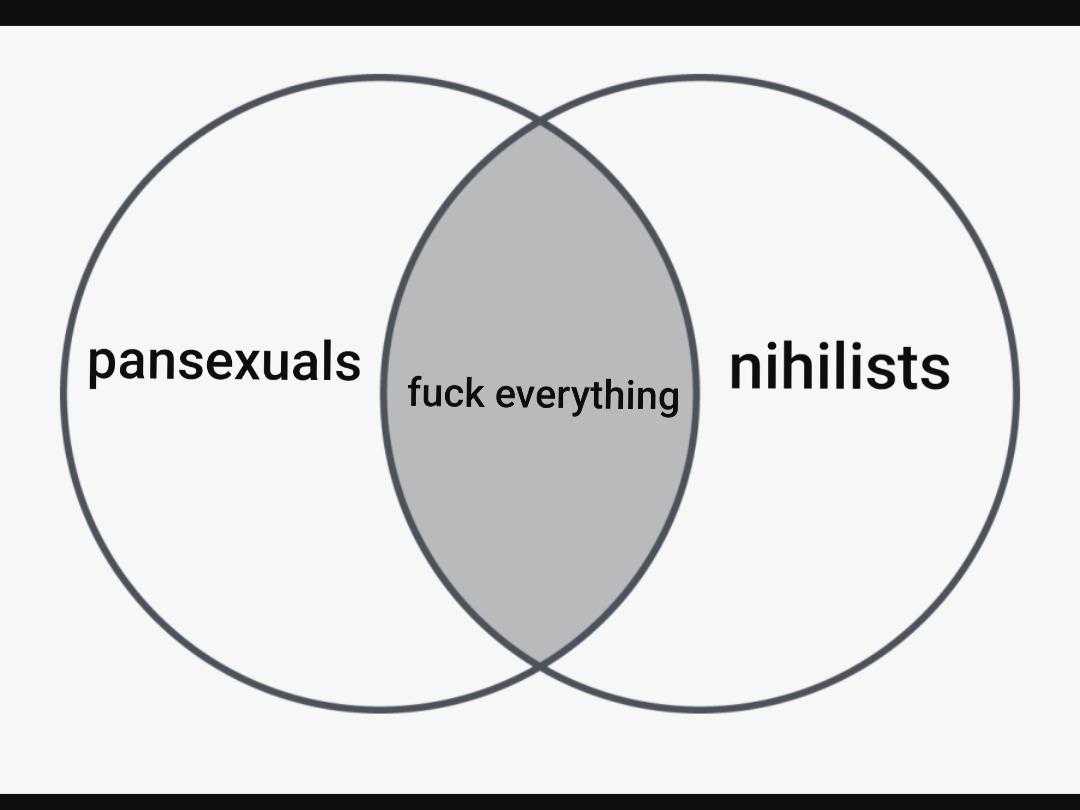 a vennuous vennuous diagram of two intersectings with the words pansexuals and fuck everything