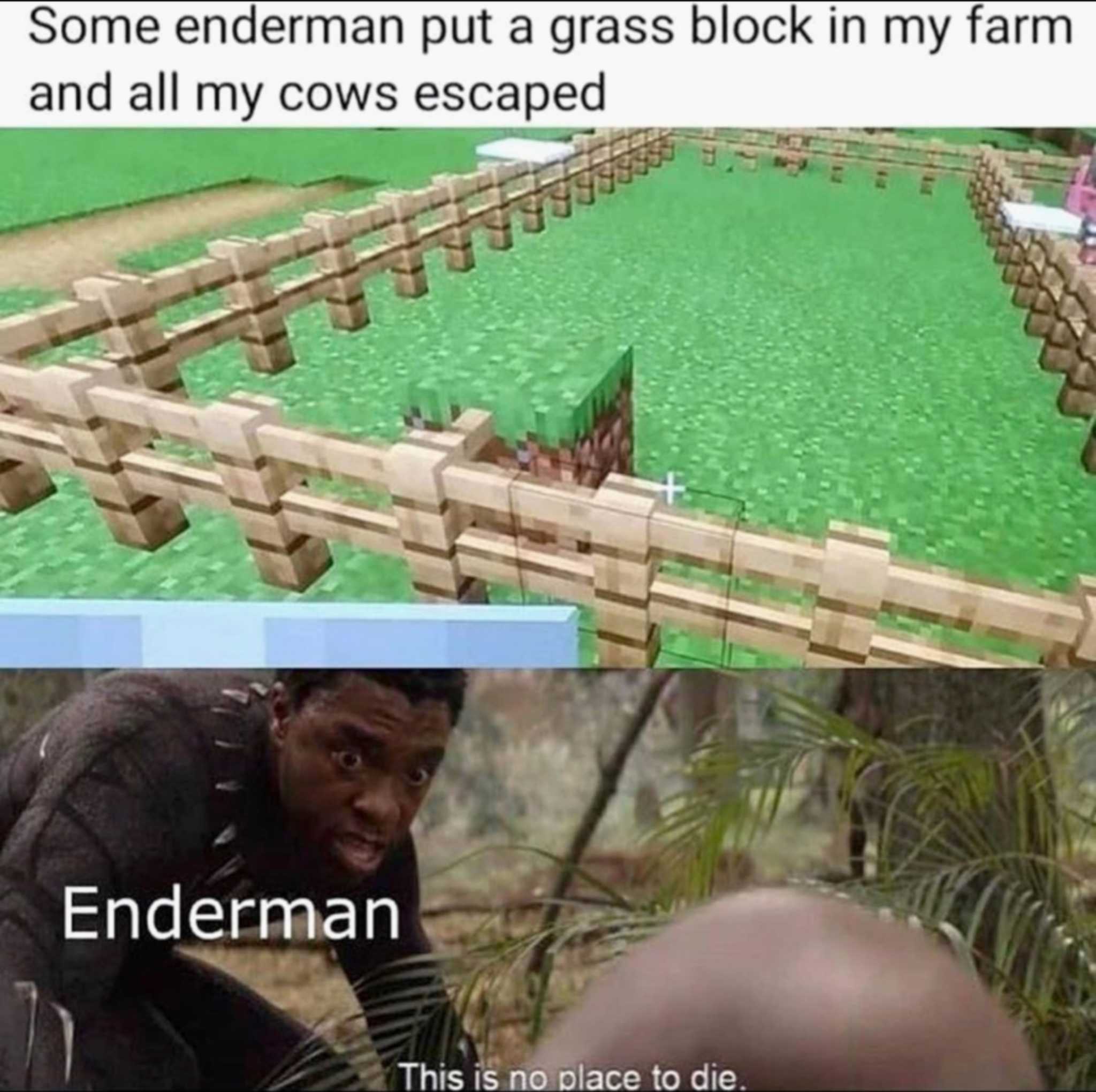 a picture taken from a video game shows a man in a field with a bridge and a man in a field with a fence