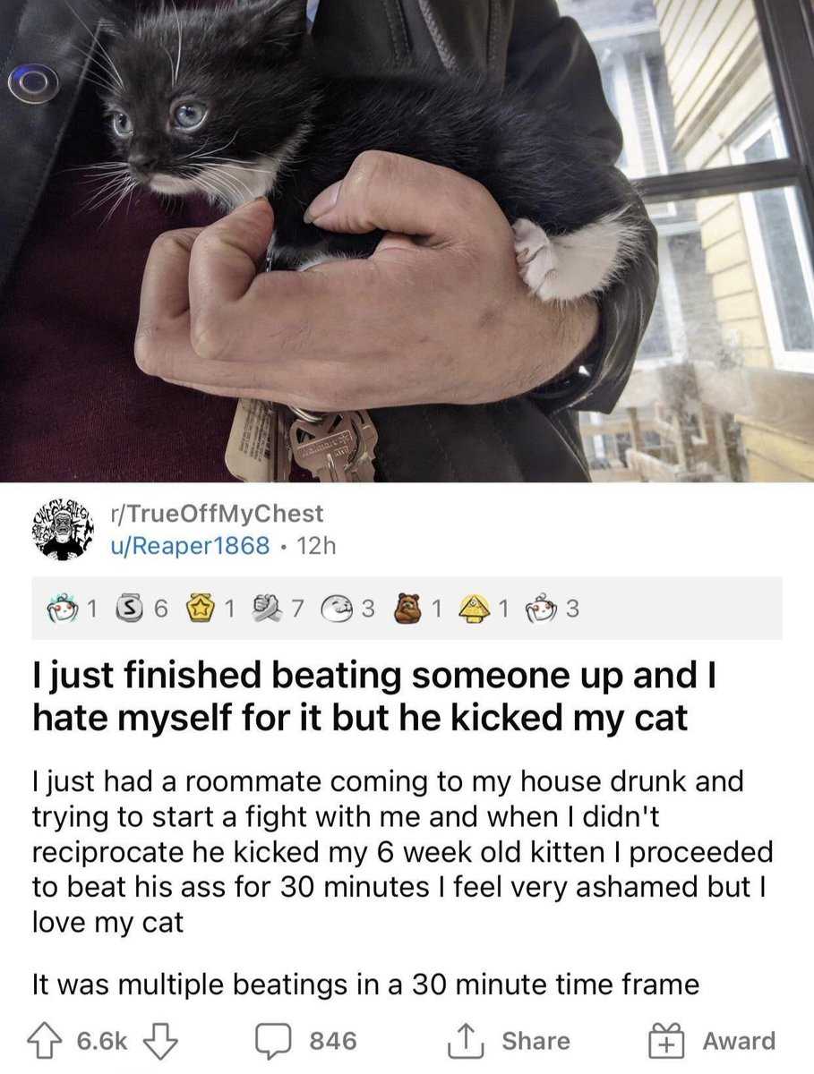 someone posted a picture of a cat that was being held by a man