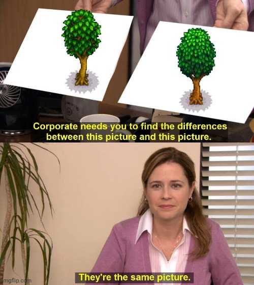 there are two pictures of a woman holding a picture of a tree