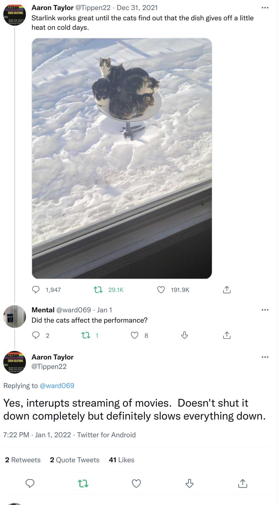 a close up of a cat laying on top of a snow covered ground