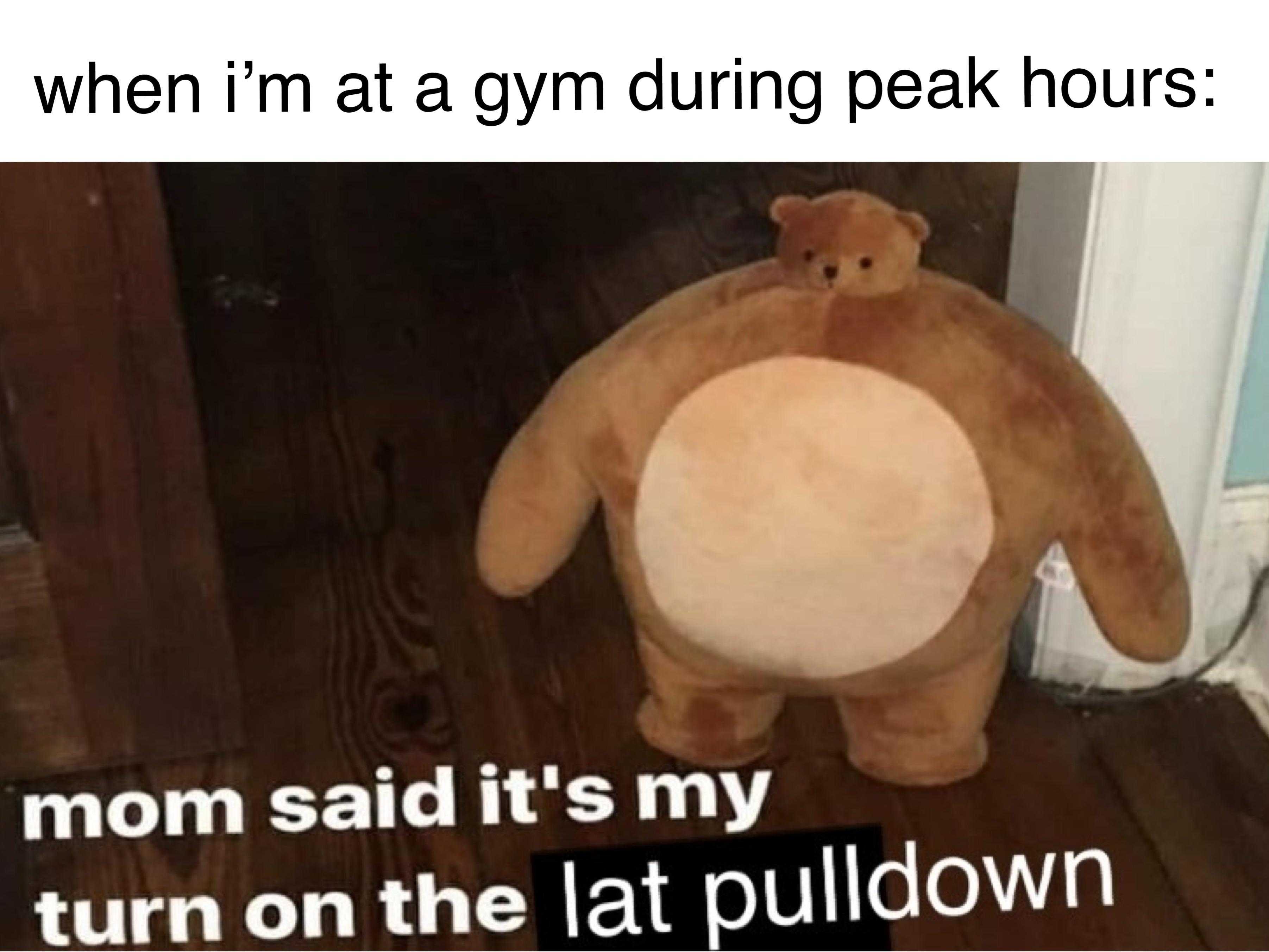 teddy bear sitting on the floor with a caption that reads when i ' m at gym during peak hours